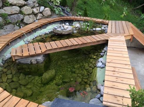 Stagni / biotopi / piscine / vasche